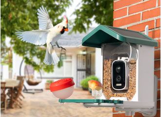 Happy Bird Feeder