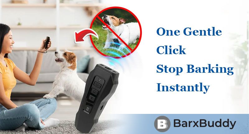 BarxBuddy - Stop barking instantly, One humane click. No yelling. No stress.
