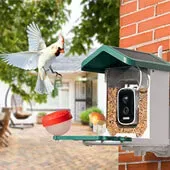 Happy Bird Feeder